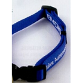Screen Printed Dog Collar with 13 to 15 Business Day Production Time (1/2")
